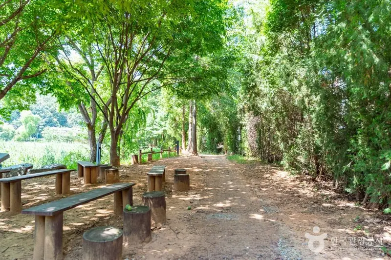 Anteo Ecological Park