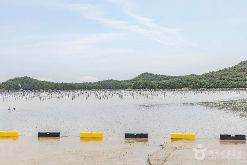 Jaeeun High School Ferry Terminal