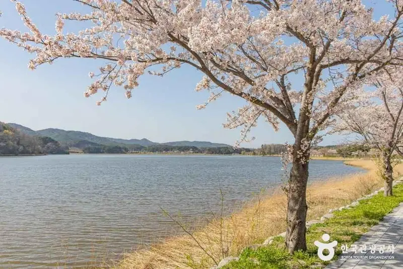 花津浦（江原平和地域国家地質公園）
