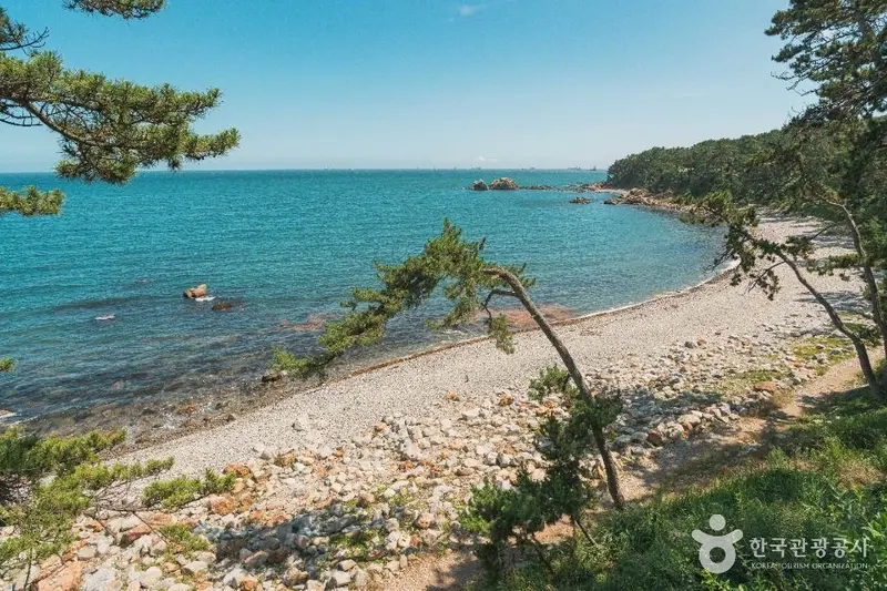 过介岸海岸