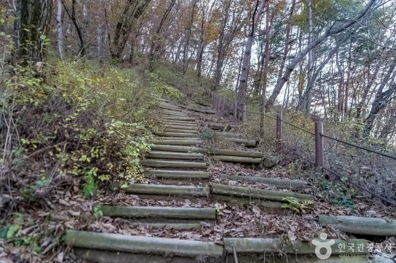 饱肚山