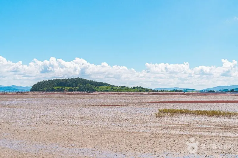 务安黄土滩涂乐园