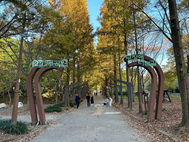 Healing Forest Trail, Incheon Grand Park
