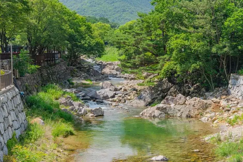 삼계리계곡