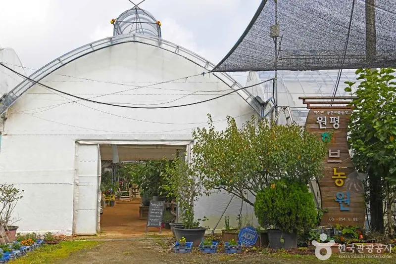 Wonpyeong Herb Farm