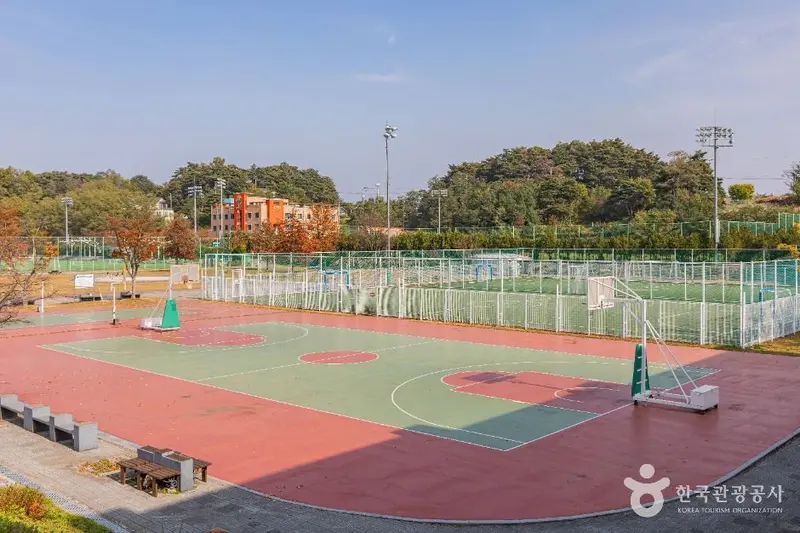 Gangnam Football Park