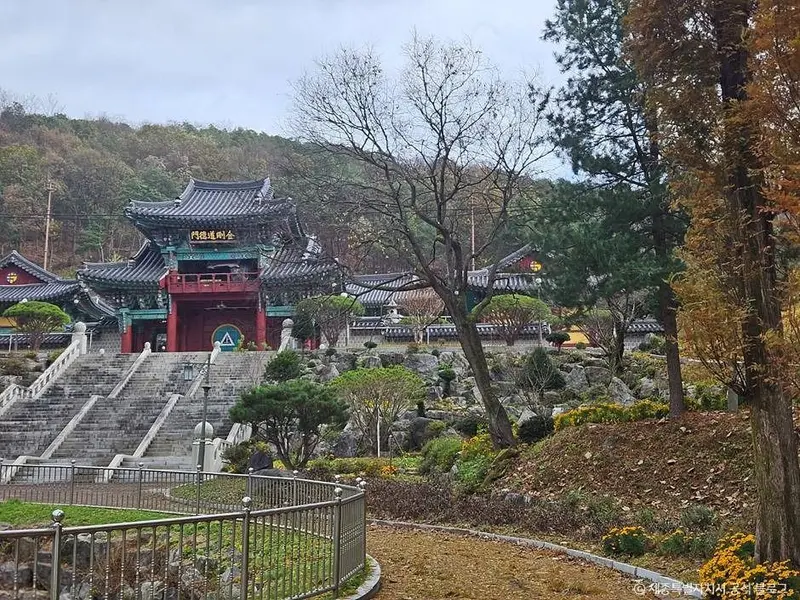 金刚大岛