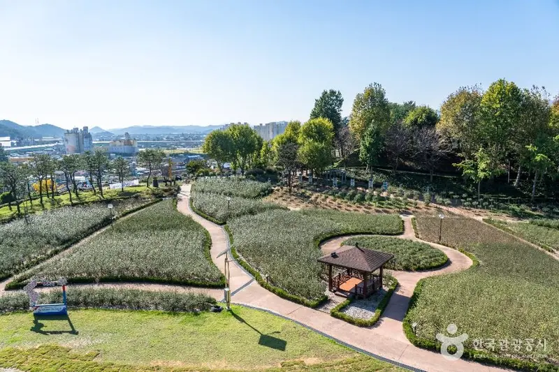 Jangseong Mugunghwa Park