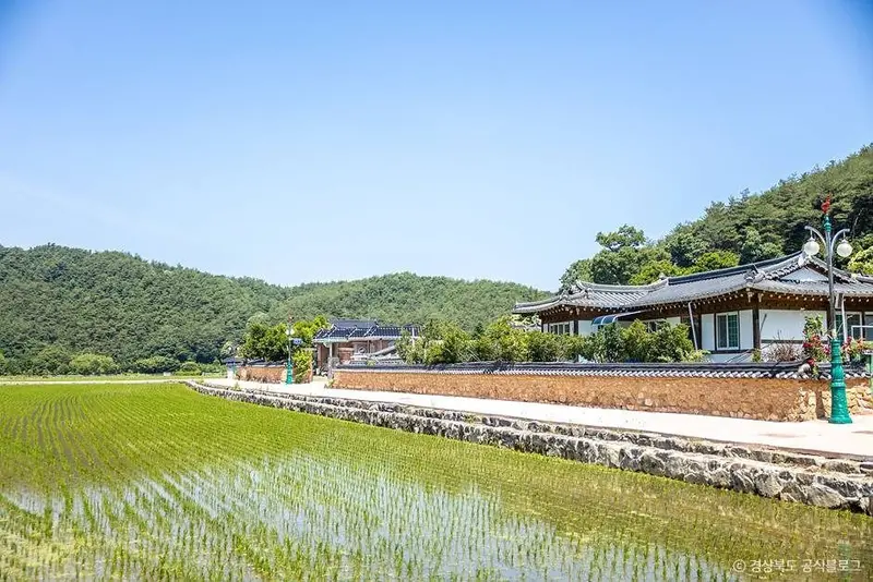 奉化酉谷村