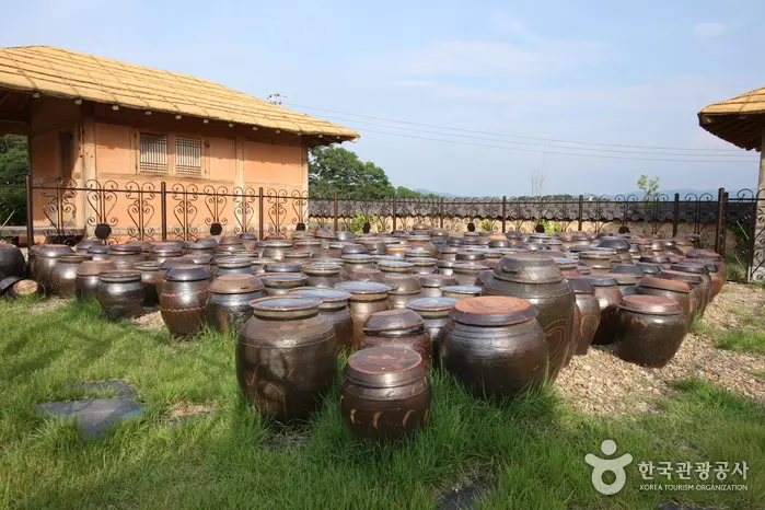 曾坪酱熟村