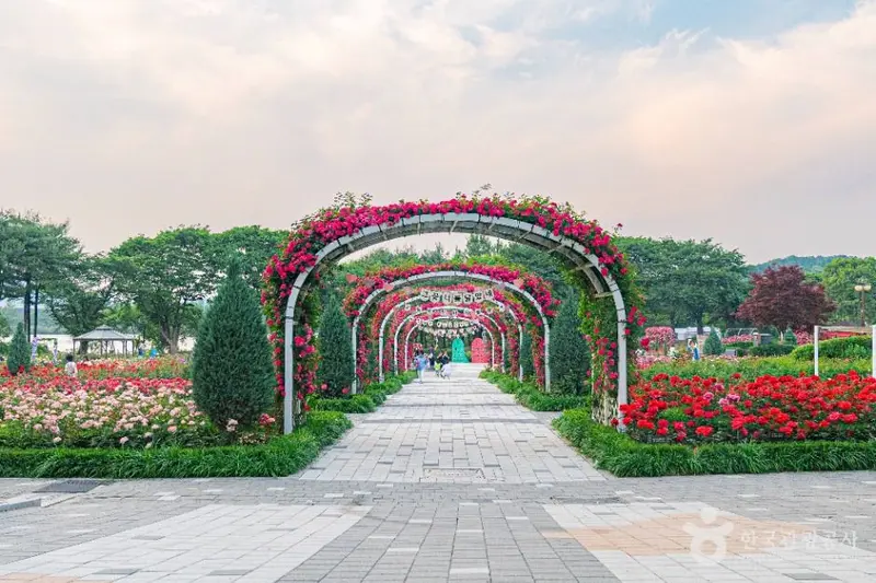ソウル大公園