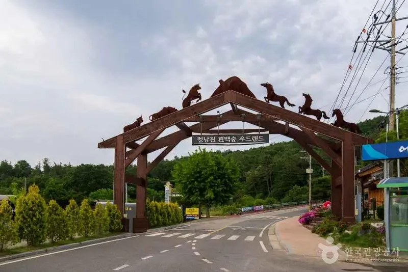 정남진 편백숲 우드랜드