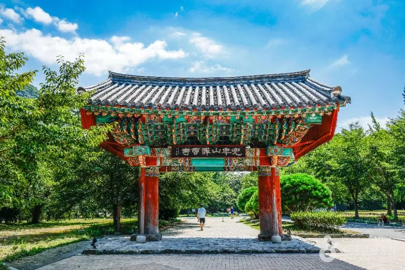 선운사(고창)