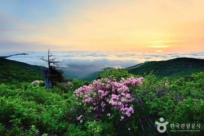 咸白山